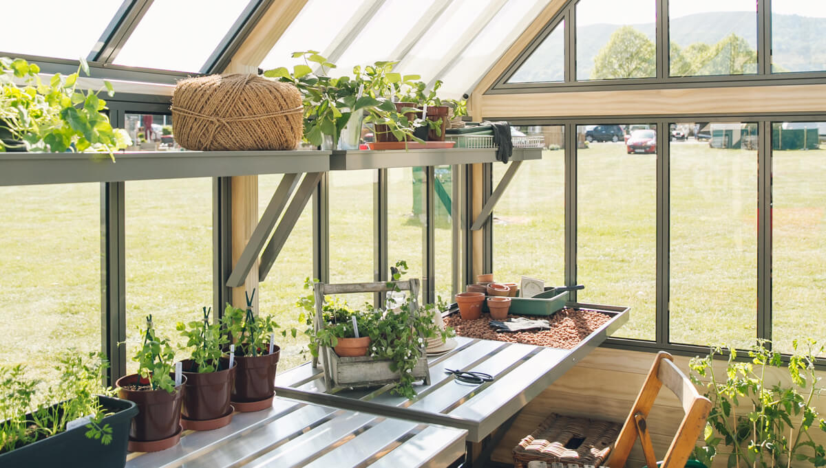 Greenhouses UK