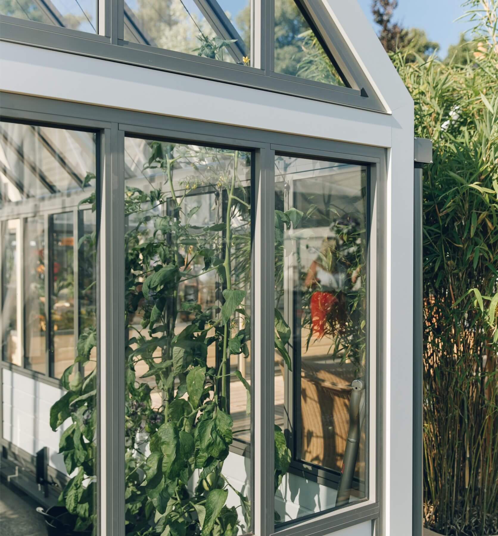 aluminium greenhouse