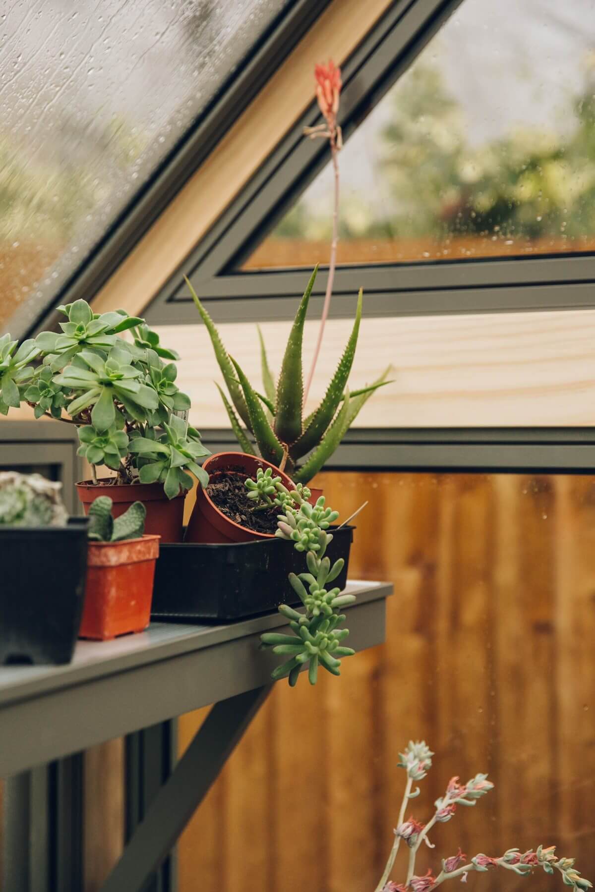 greenhouse corner detail