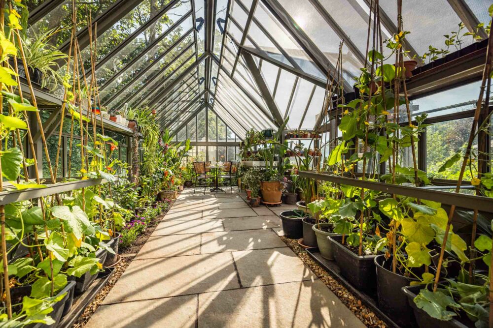 Aluminium Victorian Greenhouses | Cultivar Greenhouses UK