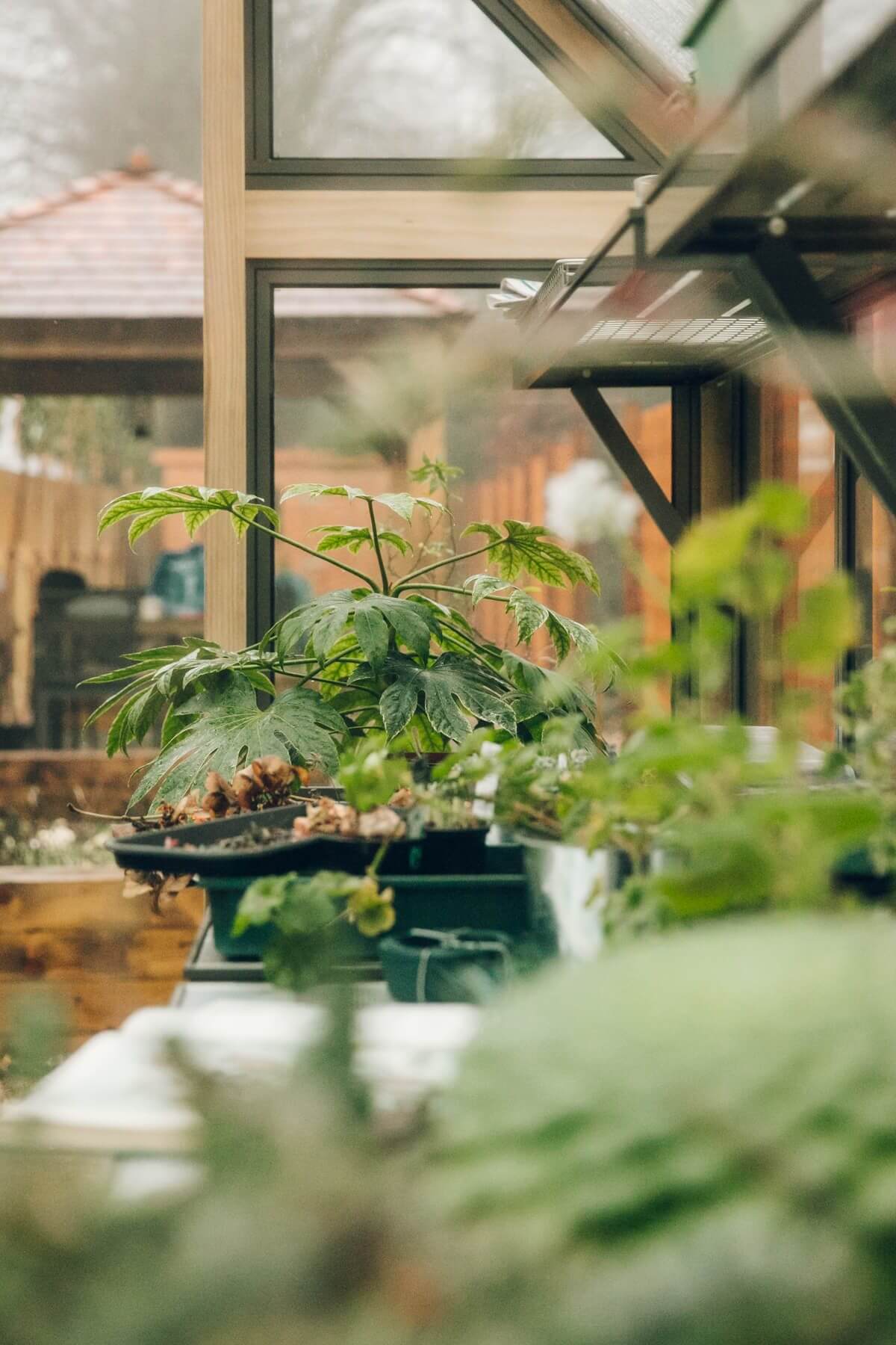 greenhouse